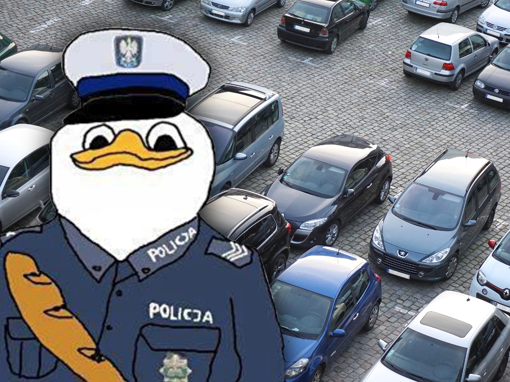 Poznań afera parkingowa wyrok parking ZDM ZRD Policja