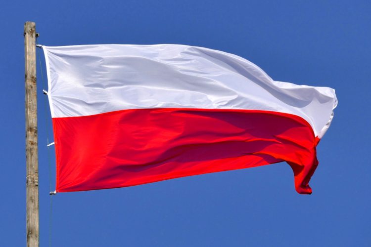 Wybory parlamentarne 2019: Poznań. Jak dopisać się do spisu wyborców? Flaga Polski. Lista kandydatów