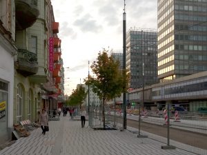 Drzewa na Świętym Marcinie! Październikowa fotorelacja [ZDJĘCIA]