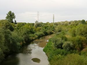 Cybina prawie bez wody – zdjęcie dnia 29.07.2019