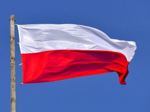 Sondażowe wyniki wyborów parlamentarnych: PiS wygrywa w Polsce i w Wielkopolsce