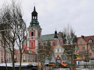 Drzewa i podbudowa na placu Kolegiackim – kwietniowa fotorelacja