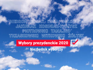 Wybory prezydenckie 2020. Niezbędnik wyborczy: jak głosować? I na kogo?