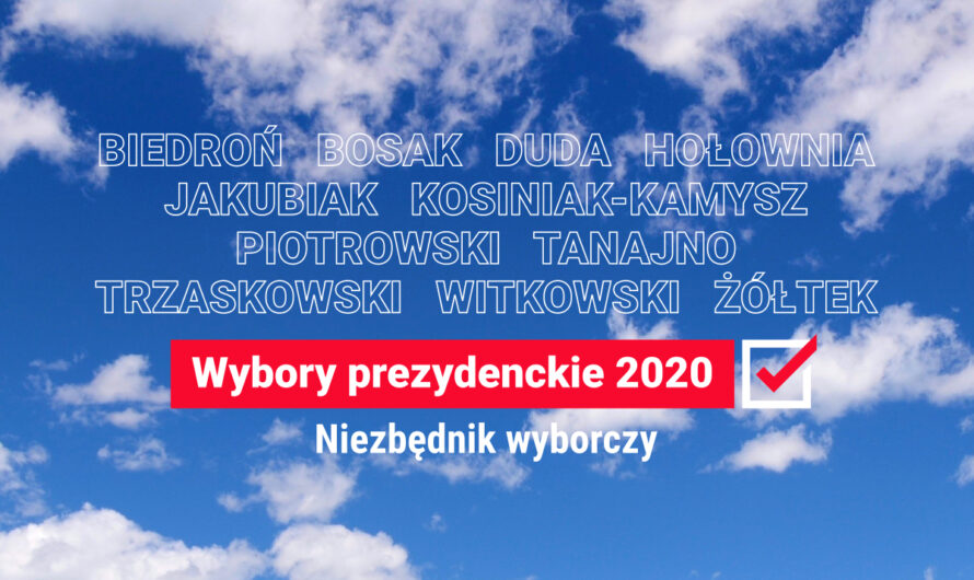 Wybory prezydenckie 2020. Niezbędnik wyborczy: jak głosować? I na kogo?