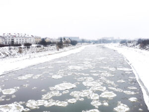 Śryż na Warcie – zdjęcie dnia 19.01.2021